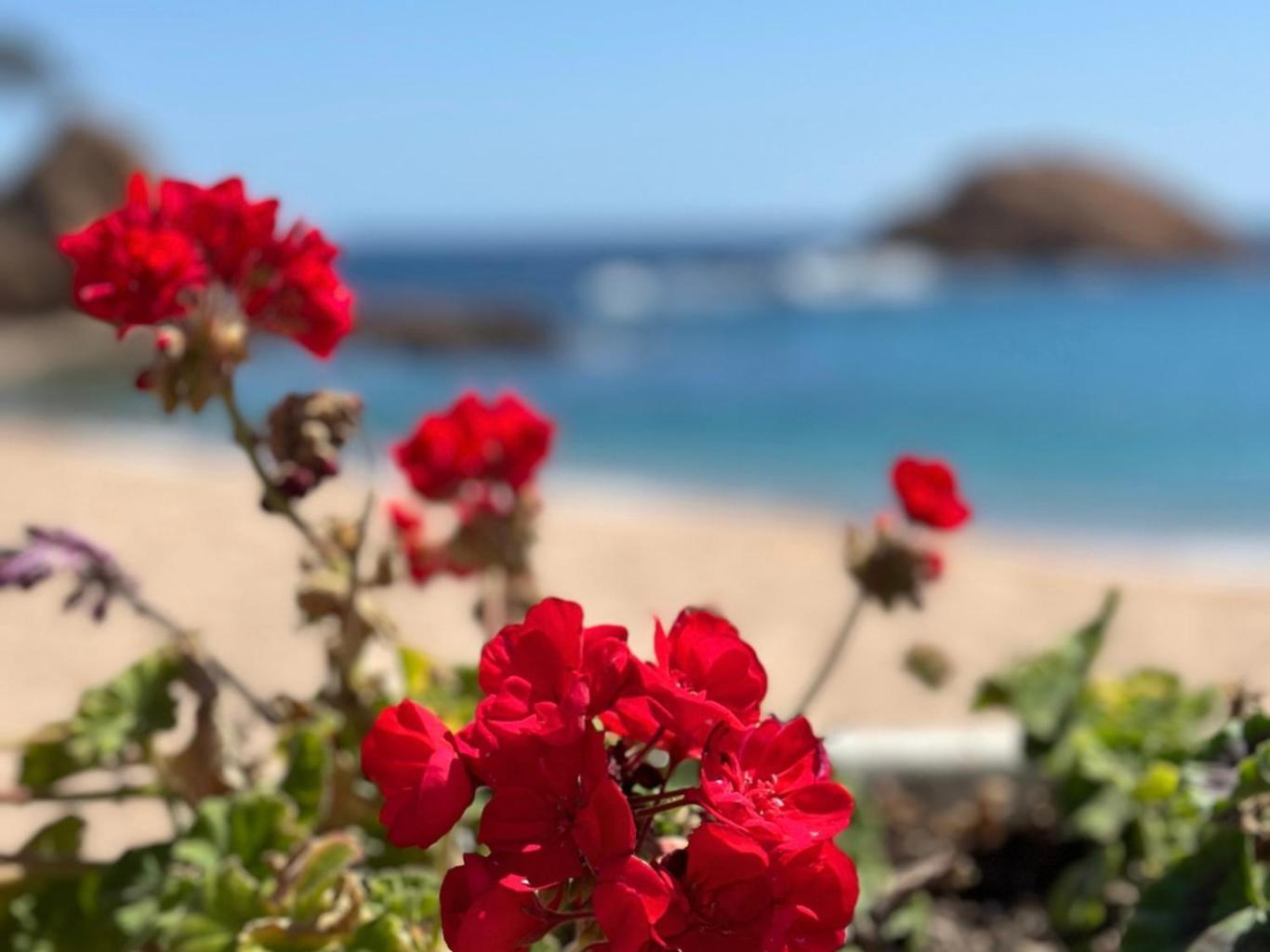 Ferienwohnung Atico Con Vistas Al Mar A Un Paso Del Centro Blanes Exterior foto