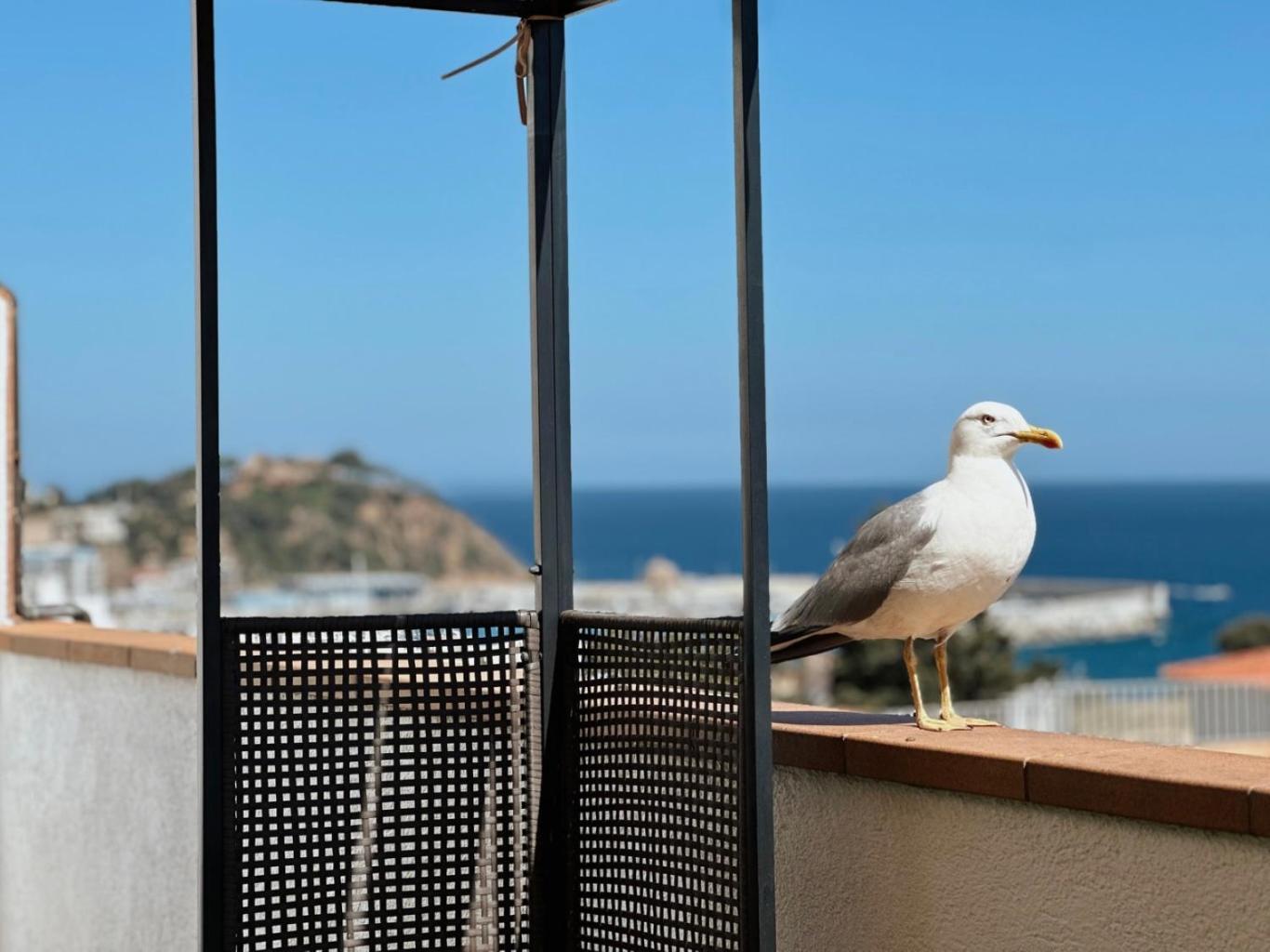 Ferienwohnung Atico Con Vistas Al Mar A Un Paso Del Centro Blanes Exterior foto